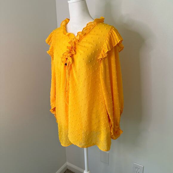 Anthropologie Haida dark yellow Swiss dot peasant ruffle top size L - Picture 5 of 13